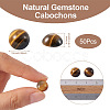 Natural Tiger Eye Cabochons G-R416-10mm-35-3
