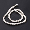 Natural Magnesite Round Bead Strands G-L358-4mm-02-4