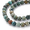 Natural Chrysocolla Beads Strands G-S376-004A-3