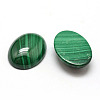 Oval Natural Malachite Cabochons X-G-O147-03G-2