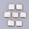 Edge Plated Freshwater Shell Pendants SHEL-S276-38-1