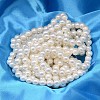 AB Color Plated Shell Pearl Round Bead Strands BSHE-L011-10mm-C001-2