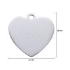 Tarnish Resistant 304 Stainless Steel Pendants STAS-I140-10B-S-3