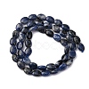 Natural Sodalite Beads Strands G-Z006-A39-3