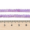 Natural Freshwater Shell Dyed Beads Strands SHEL-R100-11A-04-4