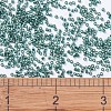 MIYUKI Delica Beads SEED-J020-DB0607-4