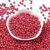 6/0 Glass Seed Beads SEED-L011-08A-22-2