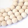 Frosted Natural Fossil Round Bead Strands G-E334-8mm-22-1