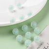 Transparent Acrylic Beads TACR-S152-07C-SS2111-6