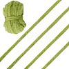 20 Yards Nylon Ribbon OCOR-TA0002-89C-2