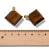 Natural Tiger Eye Perfume Bottle Pendants G-Z039-05G-05-3