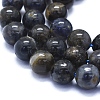 Natural Iolite Beads Strands G-E561-16-8mm-3