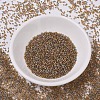 MIYUKI Delica Beads SEED-MY11-DB0981-2
