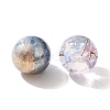 Mixed Style Glass Beads GLAA-XCP0012-02I-2