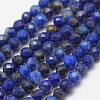 Natural Lapis Lazuli Beads Strands G-K182-2mm-04-1