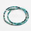 Natural Variscite Bead Strands G-P300-05-4mm-2