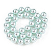 Glass Pearl Beads Strands HY-G002-01F-12-5