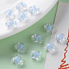 Transparent Acrylic Beads TACR-S152-01A-SS2113-6