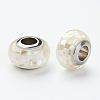 304 Stainless Steel Resin European Beads RPDL-P002-A12-1