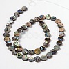 Natural Abalone Shell/Paua Shell Beads Strands SHS014-01-2