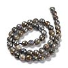 Natural Labradorite Beads Strands G-G723-01C-3