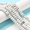 Synthetic Howlite Beads Strands G-K340-B06-02-4