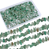 SUNNYCLUE 4 Strands Natural Aventurine Chip Beads Strands G-SC0002-69-1