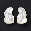 Natural White Shell Beads BSHE-H016-02-3