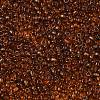 FGB 8/0 Grade A Round Glass Seed Beads SEED-Q006-3mm-F24-2