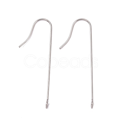 Tarnish Resistant 316 Surgical Stainless Steel Earring Hooks STAS-E027-01A-P-1