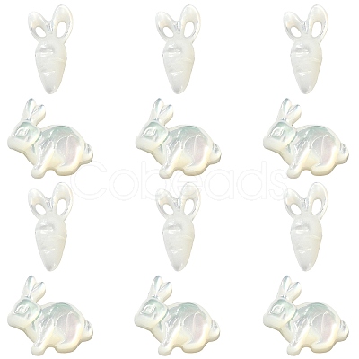 6Pcs 2 Styles Natural White Shell Beads BSHE-CJ0001-05-1