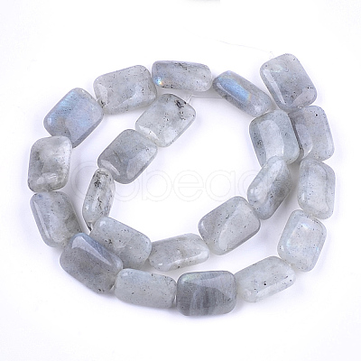 Natural Labradorite Beads Strands X-G-T121-13-1