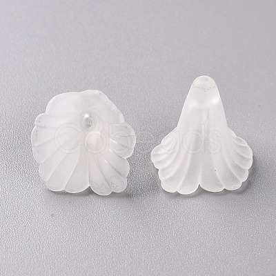 Transparent Acrylic Bead Caps PL551-1