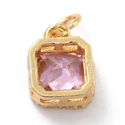 Real 18K Gold Plated Brass Inlaid Cubic Zirconia Charms ZIRC-L100-073G-06-1