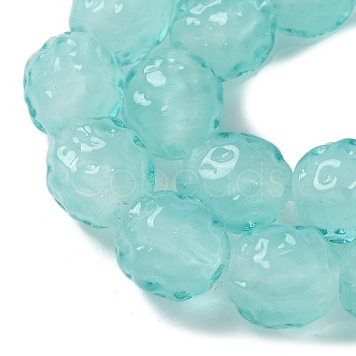 Handmade Lampwork Beads Strands LAMP-Z011-01J-1