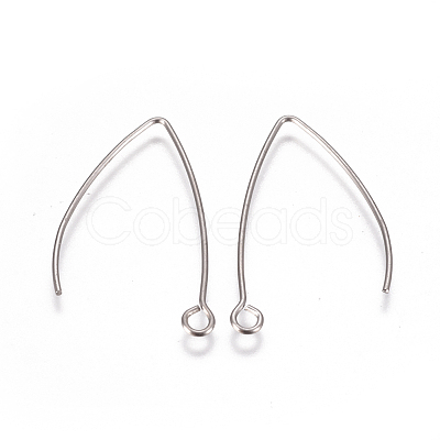 Tarnish Resistant 304 Stainless Steel Earring Hooks X-STAS-F227-26A-P-1