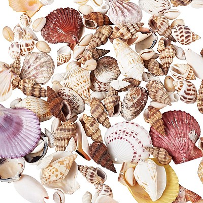 Mixed Shell Beads BSHE-TA0002-05-1
