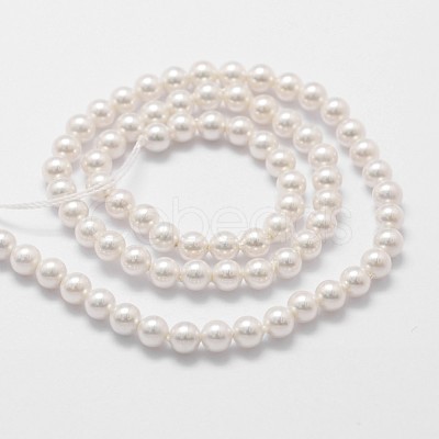 Shell Pearl Bead Strands BSHE-L025-01-4mm-1