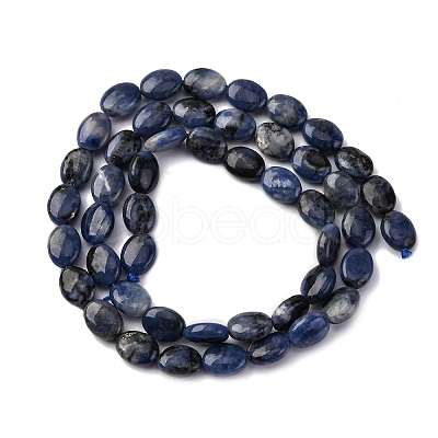 Natural Sodalite Beads Strands G-Z006-A39-1