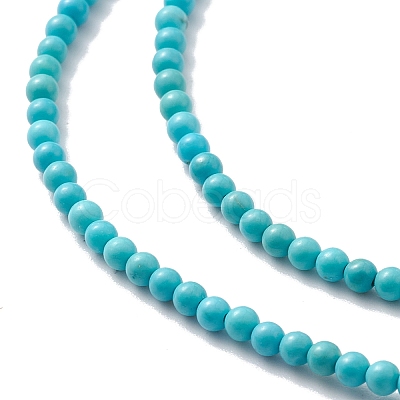 Natural Howlite Beads Strands X-TURQ-K005-01A-1