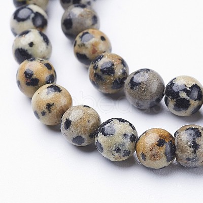 Natural Dalmatian Jasper Bead Strands G-R345-6mm-51-1