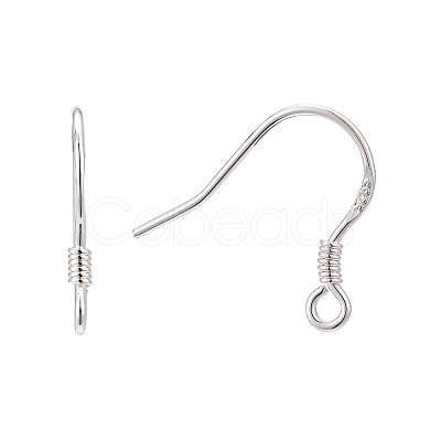 925 Sterling Silver Earring Hooks STER-E046-01S-1