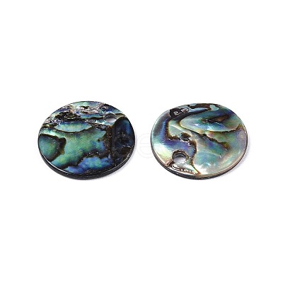 Natural Paua Shell Disc Charms SSHEL-N040-19A-1