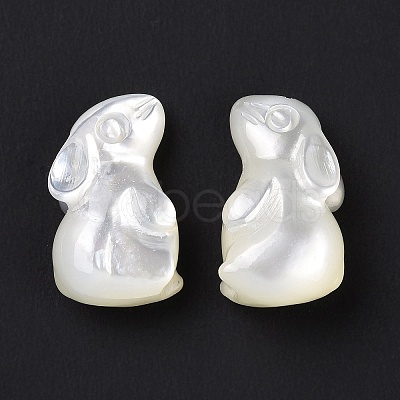 Natural White Shell Beads BSHE-H016-02-1