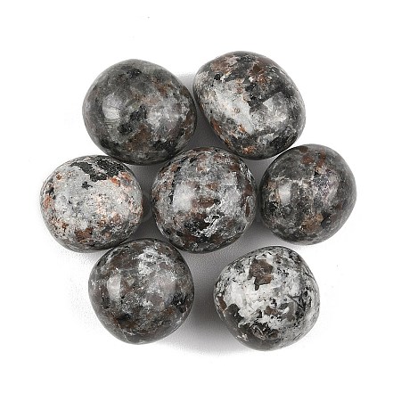 Natural Syenite Beads G-G348-01B-46-1