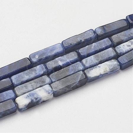 Natural Sodalite Beads Strands G-G968-D02-1