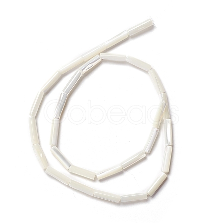 Natural Trochid Shell/Trochus Shell Beads SSHEL-O001-26B-1