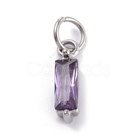 304 Stainless Steel Cubic Zirconia Pendants STAS-E487-21P-02-1