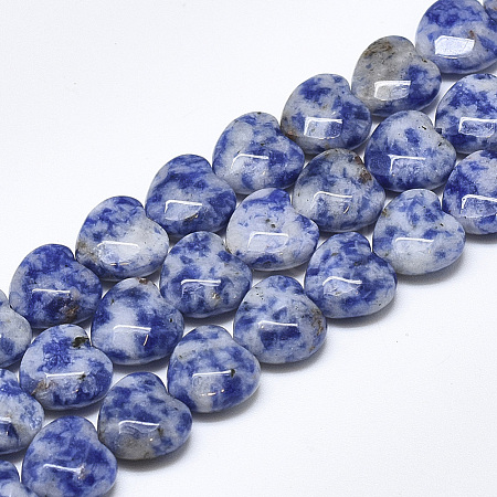 Natural Blue Spot Jasper Beads Strands G-S357-E01-06-1