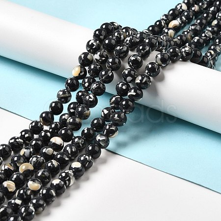 Synthetic Turquoise and Sea Shell Assembled Beads Strands G-D482-01D-01-1